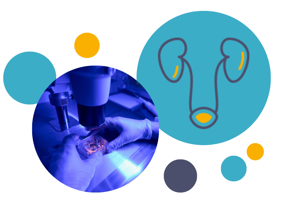 cells under a microscope and a postrate diagram 