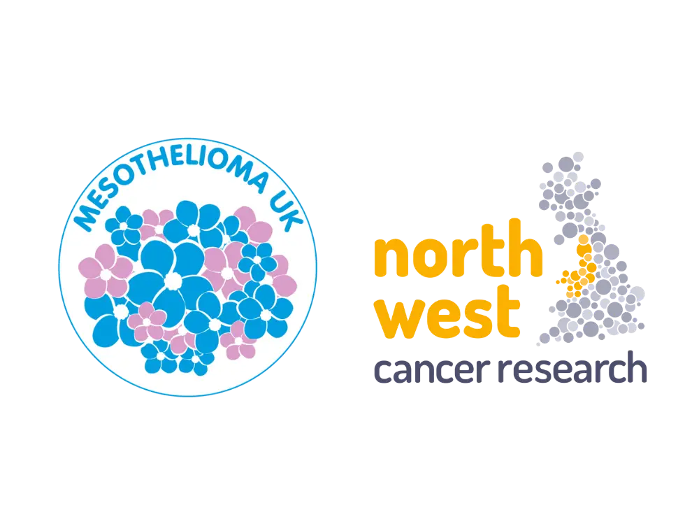 researcher and health professional 