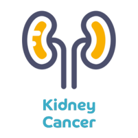 kidney cancer icon