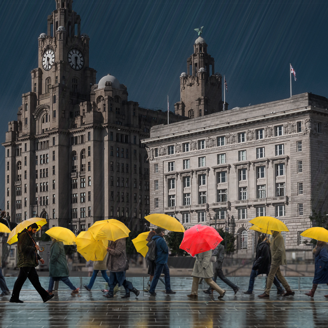 SQUARE IMAGES rando (2).png