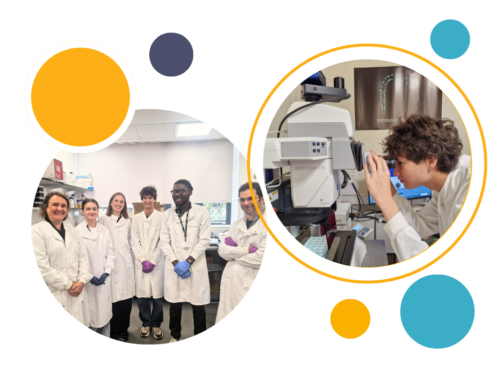 Summer Studentship 