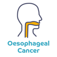 oesophageal cancer icon